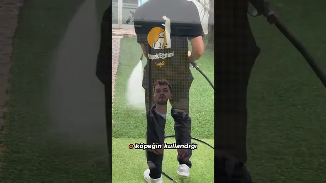 "Köpek Otelinde Hijyen" videosunun kapak görseli